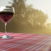 Exploration_des_crus_du_Beaujolais,_des_noms_qui_résonnent_
