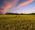 countryside-2326787_1280